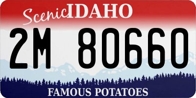 ID license plate 2M8066O