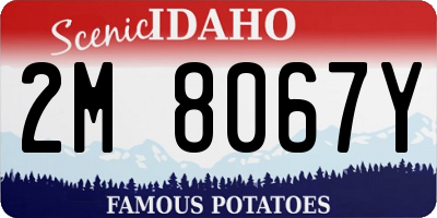 ID license plate 2M8067Y