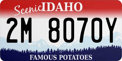 ID license plate 2M8070Y