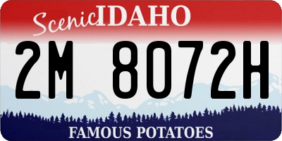 ID license plate 2M8072H