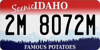 ID license plate 2M8072M