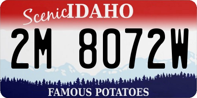 ID license plate 2M8072W
