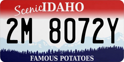 ID license plate 2M8072Y