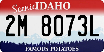 ID license plate 2M8073L