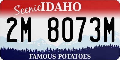 ID license plate 2M8073M