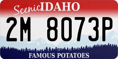 ID license plate 2M8073P