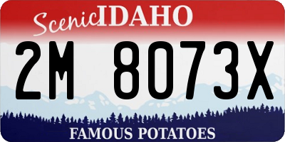 ID license plate 2M8073X