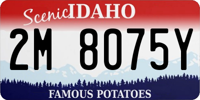 ID license plate 2M8075Y