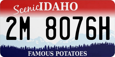 ID license plate 2M8076H