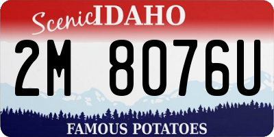 ID license plate 2M8076U