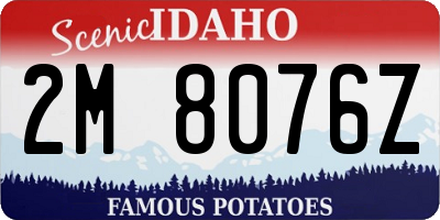 ID license plate 2M8076Z