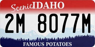 ID license plate 2M8077M
