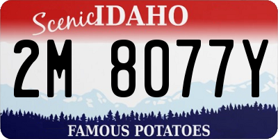 ID license plate 2M8077Y