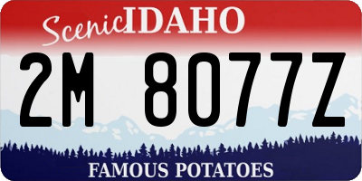ID license plate 2M8077Z