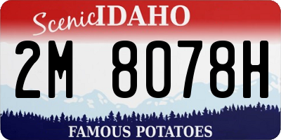 ID license plate 2M8078H