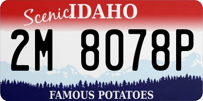 ID license plate 2M8078P