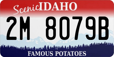 ID license plate 2M8079B