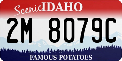 ID license plate 2M8079C