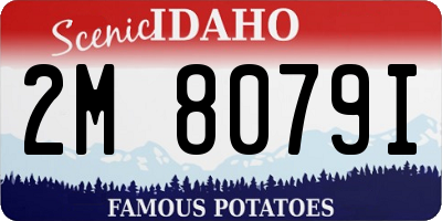 ID license plate 2M8079I