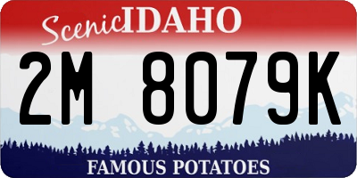 ID license plate 2M8079K