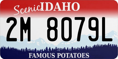 ID license plate 2M8079L
