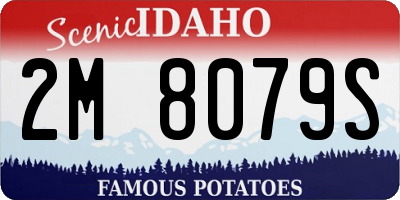 ID license plate 2M8079S