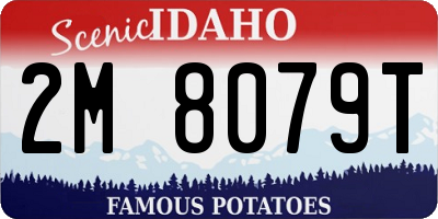 ID license plate 2M8079T