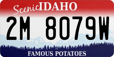 ID license plate 2M8079W