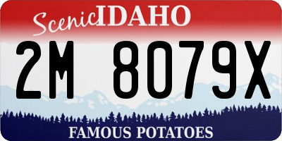 ID license plate 2M8079X