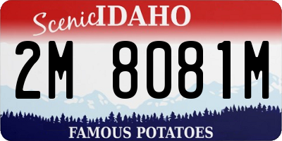 ID license plate 2M8081M