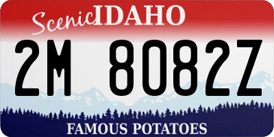 ID license plate 2M8082Z