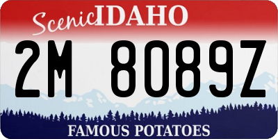 ID license plate 2M8089Z