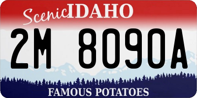 ID license plate 2M8090A