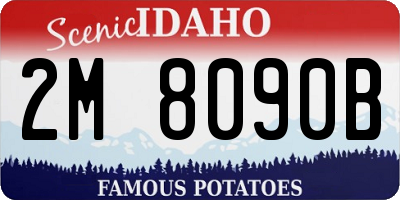 ID license plate 2M8090B