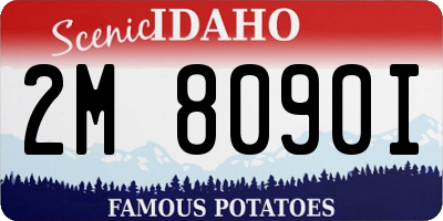 ID license plate 2M8090I