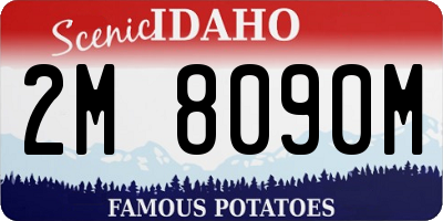 ID license plate 2M8090M