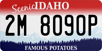 ID license plate 2M8090P