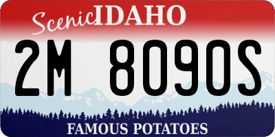 ID license plate 2M8090S