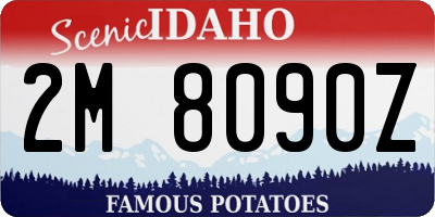 ID license plate 2M8090Z