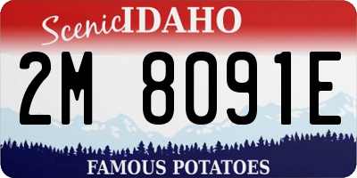 ID license plate 2M8091E