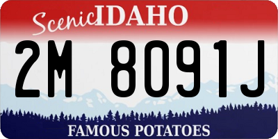 ID license plate 2M8091J