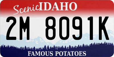 ID license plate 2M8091K