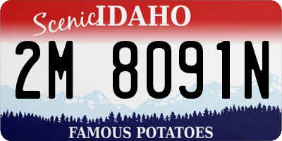 ID license plate 2M8091N