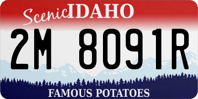 ID license plate 2M8091R