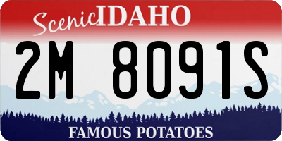 ID license plate 2M8091S