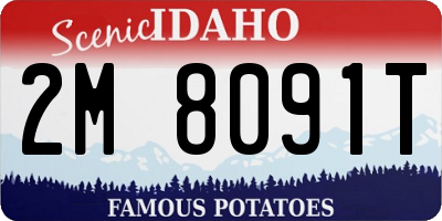 ID license plate 2M8091T
