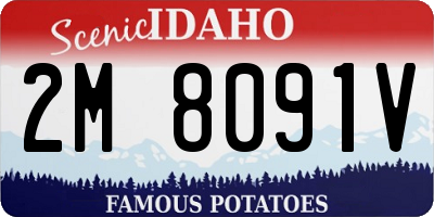 ID license plate 2M8091V