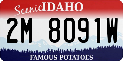 ID license plate 2M8091W
