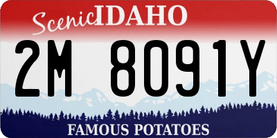 ID license plate 2M8091Y