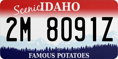 ID license plate 2M8091Z